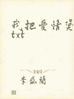 我把爱情煲成汤txt