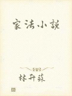 家法小说