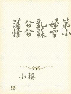 荡公乱妇第1章情公苏雪小说