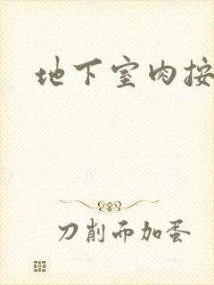 地下室肉按摩椅