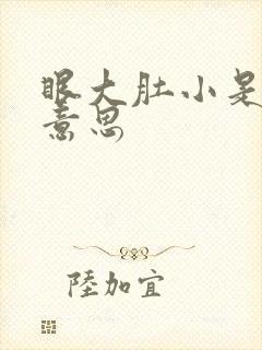 眼大肚小是什么意思