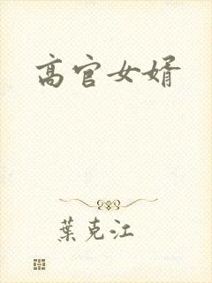 高官女婿