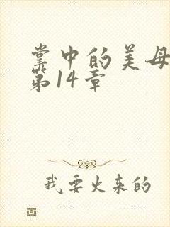 掌中的美母版主第14章