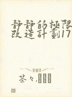 静静的极限自我改造计划17