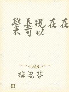 学长现在在上课不可以