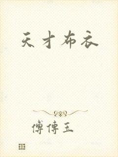 天才布衣封面