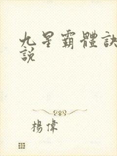 九星霸体诀 小说