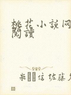 桃花小说网小说阅读封面