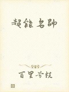 超能名帅封面