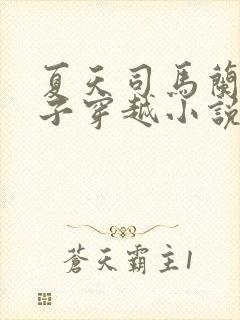 夏天司马兰九皇子穿越小说笔趣阁封面