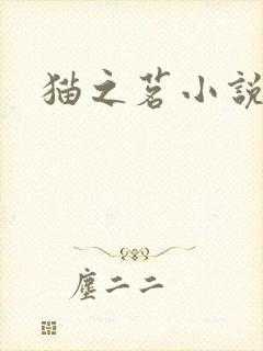 猫之茗小说