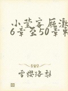 小莹客厅激情46章至50章软件介绍