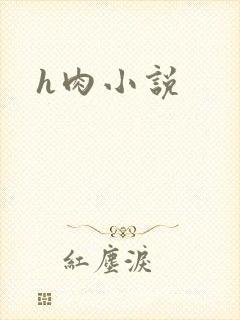 h肉小说