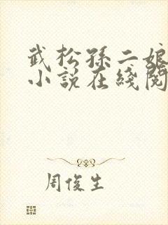 武松孙二娘云雨小说在线阅读封面