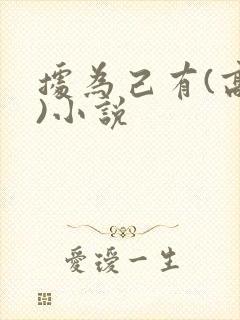 据为己有(高干)小说