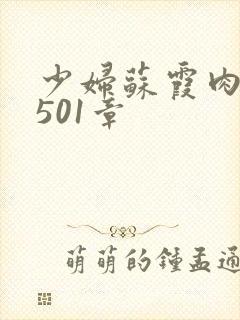 少妇苏霞肉欲第501章