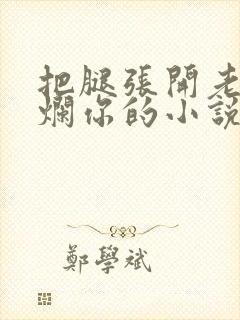 把腿张开老子臊烂你的小说封面