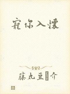 宠你入怀封面