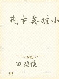 我本英雄小说