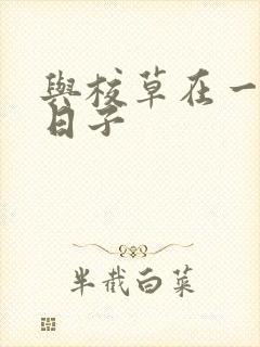 与校草在一起的日子