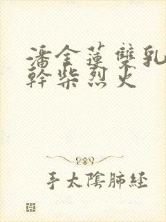 潘金莲双乳晃动干柴烈火