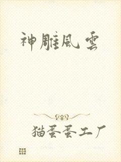 神雕风云