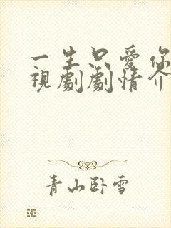 一生只爱你 电视剧剧情介绍封面