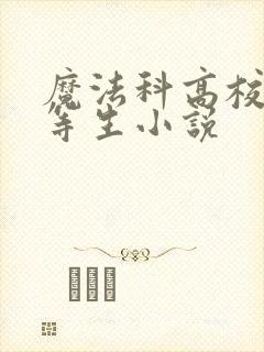 魔法科高校的劣等生小说封面