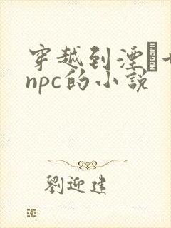 穿越到湮婸世界npc的小说封面