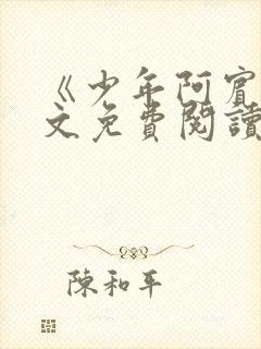 《少年阿宾》全文免费阅读封面