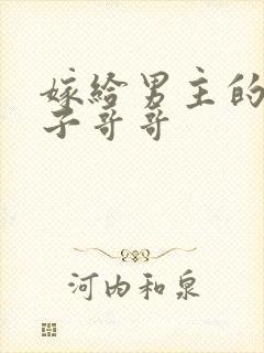 嫁给男主的病秧子哥哥