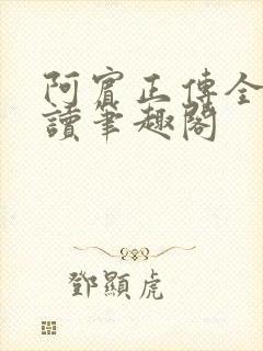 阿宾正传全文阅读笔趣阁