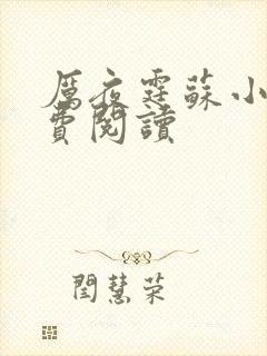 厉夜霆苏小汐免费阅读封面