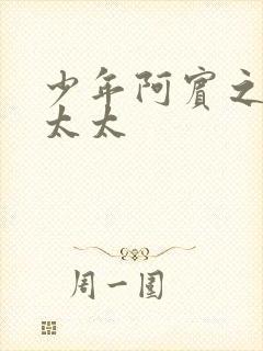 少年阿宾之房东太太