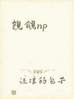 觊觎np