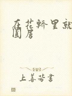 在花轿里就开始圆房