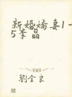 新婚娇妻1一25李晶封面