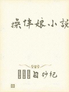 操伴娘小说封面