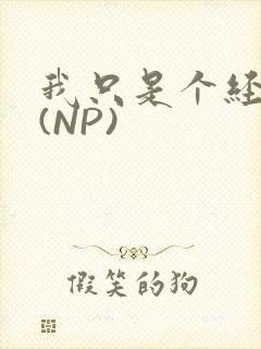 我只是个经纪人(NP)封面