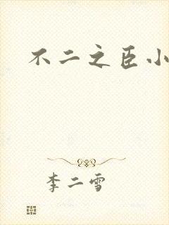 不二之臣小说封面