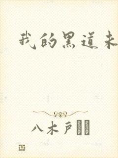 我的黑道未婚夫