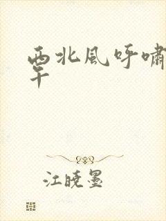 西北风呼啸的中午