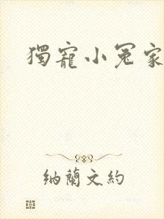 独宠小冤家封面