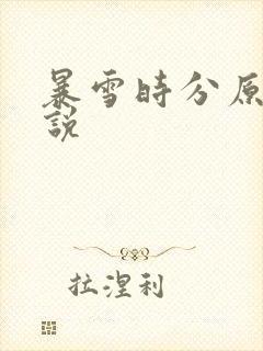 暴雪时分原著小说