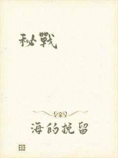 秘战