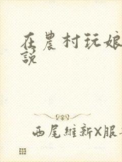 在农村玩娘俩小说封面