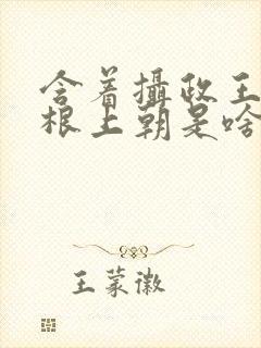 含着摄政王的紫根上朝是啥小说封面