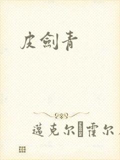 皮剑青封面