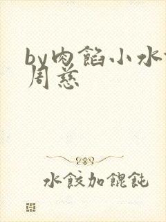 by肉馅小水饺周慈封面