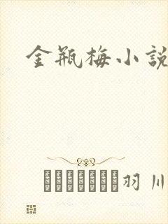 金瓶梅小说在线